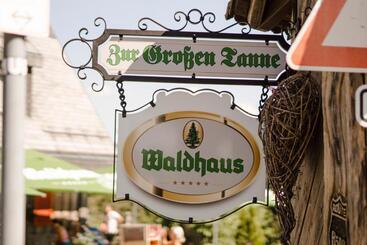 旅馆 Zur Grossen Tanne