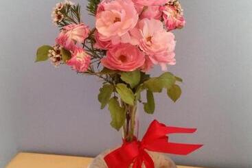 Bed and Breakfast Diana House