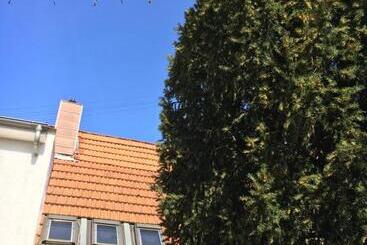 Pension Haus Baron 2 Friedrichsfeld