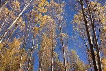 Aamiaismajoitus (B&B) Casa Lola