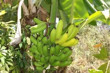 Bed and Breakfast Le Chalet La Fontaine Saint Leu