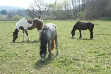 Majatalo Gadányi Vendégház és Lovarda