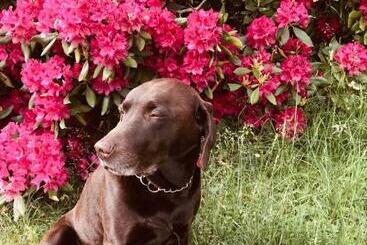 膳宿费 Weberhof Hopfgarten