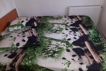 Пансион Casa Denisa Vidraru Transfgarasan