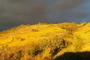 Pansiyon Wine Passion Panoramic