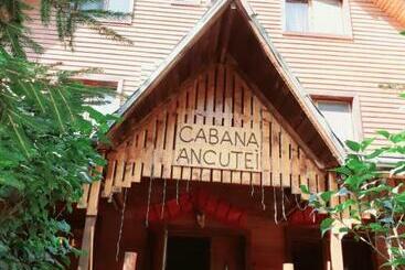 펜션 Cabana Ancutei