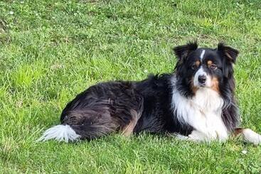 ベッドアンドブレックファースト Les Cigales