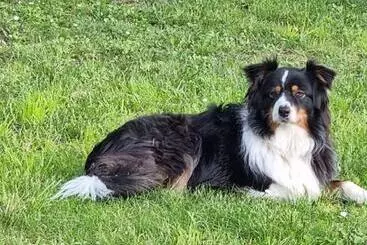 ベッドアンドブレックファースト Les Cigales