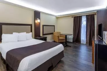 Hotel Travelodge By Wyndham Sarnia