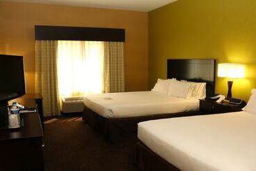 Holiday Inn Express Hotel & Suites Saginaw, An Ihg