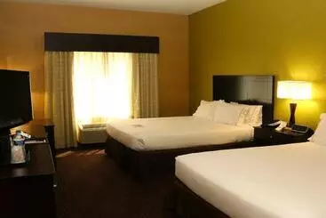 Holiday Inn Express Hotel & Suites Saginaw, An Ihg