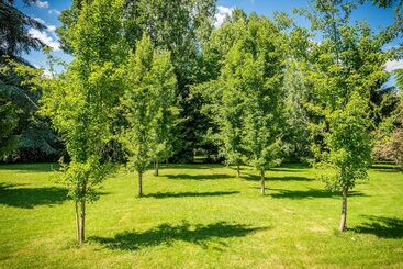 هتل Moulin De Vigonac