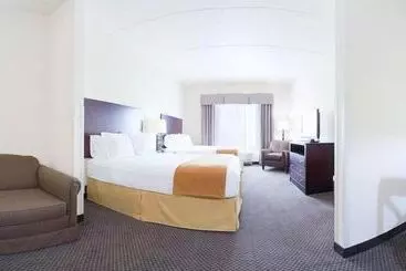Hotel Holiday Inn Express & Suites Chicago West O Hare Arpt Area , An Ihg