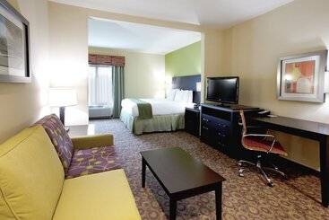 Holiday Inn Express Hotel & Suites Clemson University Area, An Ihg