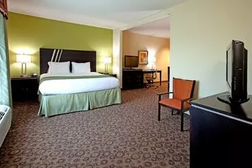 Holiday Inn Express Hotel & Suites Clemson University Area, An Ihg
