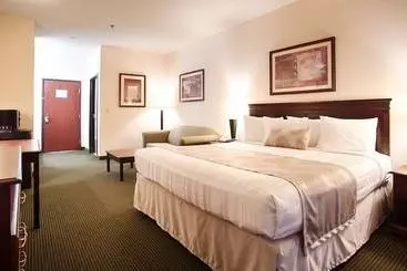 酒店 Best Western Jacksonville Inn