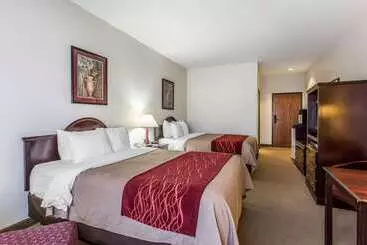 酒店 Quality Inn & Suites