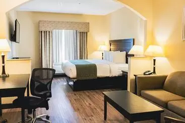 هتل Baymont By Wyndham Tyler