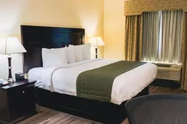 酒店 Baymont By Wyndham Tyler