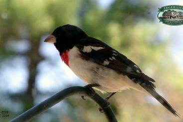 فندق Edgewater Inn & Cottages