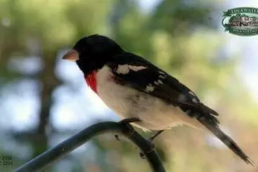 酒店 Edgewater Inn & Cottages