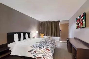 ホテル Red Roof Inn Vero Beach   I 95