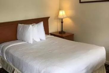 Motel Red Carpet Inn & Suites Cooperstown