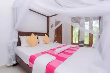Hotel Scenery River Star