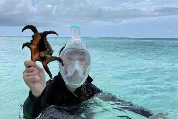 Majatalo Konut By Thakuru