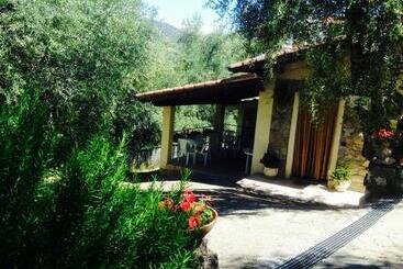 Bed and Breakfast Casa Vacanze Uliveto