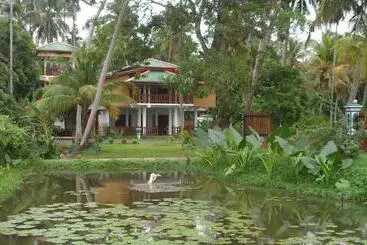 Bed and Breakfast Birds View