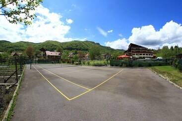 Отель Bran Belvedere International