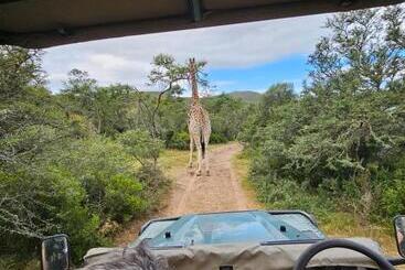 Hotel Garden Route Safari Camp