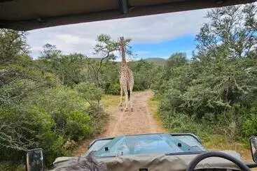 Hotel Garden Route Safari Camp