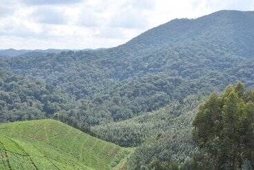 هتل Nyungwe Nziza Ecolodge