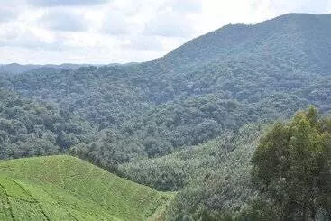 هتل Nyungwe Nziza Ecolodge