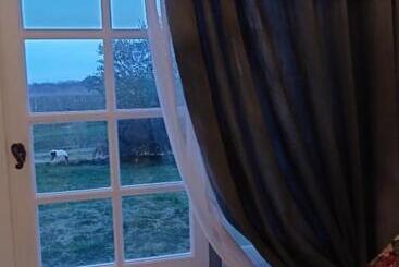 Bed and Breakfast Le Château De Roquebère