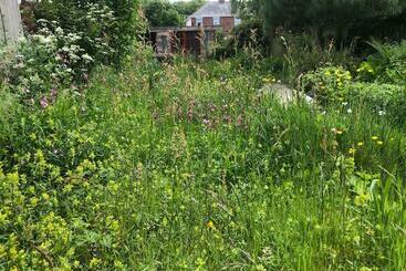 Bed and Breakfast Three Ponds