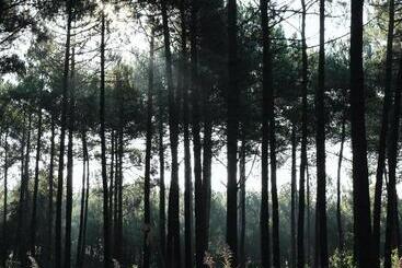 住宿加早餐 Alma Libre Yoga & Surf House