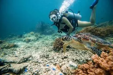 ベッドアンドブレックファースト Pondok Wisata Gili Lampu