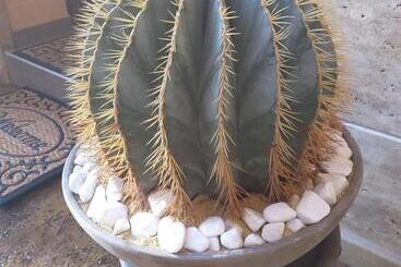 پانسیون Time Out