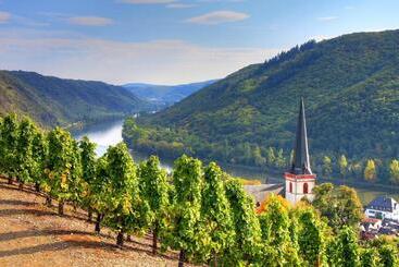 호스텔 Gasthaus Castor