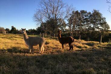 Muswellbrook Northside Bed & Breakfast