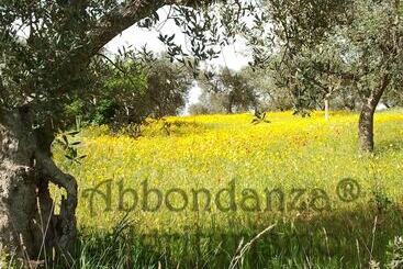 پانسیون Room In B&b   Abbondanza® The Farm House