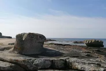 Aamiaismajoitus (B&B) Rose D écumes