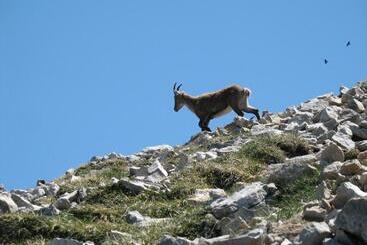 צימר Gîte Et Chambre D Hôte