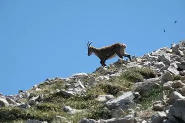 Aamiaismajoitus (B&B) Gîte Et Chambre D Hôte