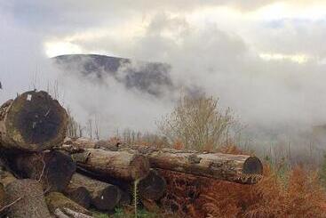 B&b Bouton D Or La Bouriotte