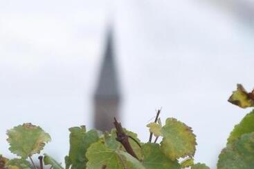 ペンション Marcia Donatti   A L Ombre Des Coteaux Sao Paulo