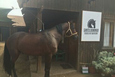 ペンション Room In Bb Wonderful Scandinavia B B